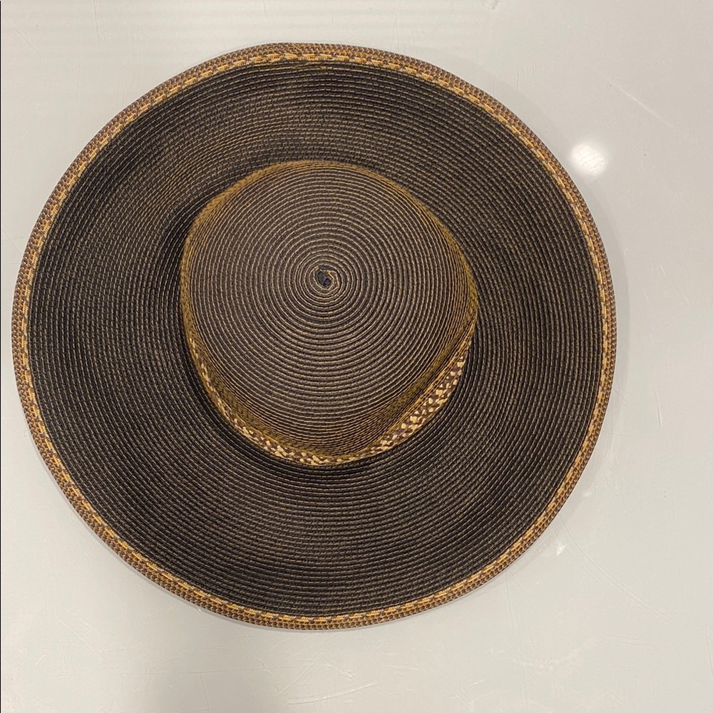 Badgley Mischka Brown and Tan Hat